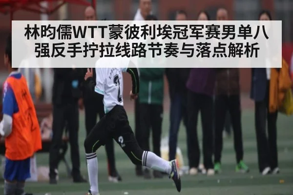 林昀儒WTT蒙彼利埃冠军赛男单八强反手拧拉线路节奏与落点解析